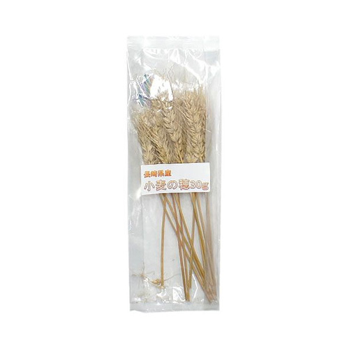 近喜商事 長崎県産 小麦の穂 80g